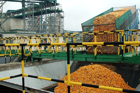 敦煌種業(yè)先鋒良種有限公司酒泉種子加工廠三、四期工程竣工投產(chǎn)