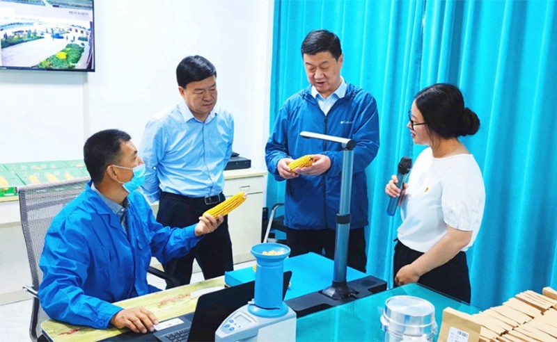 甘肅省地方金融監(jiān)管局、甘肅證監(jiān)局領(lǐng)導(dǎo)蒞臨敦煌種業(yè)調(diào)研指導(dǎo)