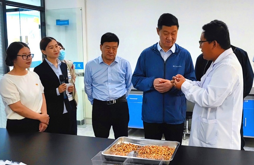 甘肅省地方金融監(jiān)管局、甘肅證監(jiān)局領(lǐng)導(dǎo)蒞臨敦煌種業(yè)調(diào)研指導(dǎo)